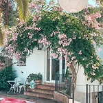 Jardines De La Reina Boutique 4* 마르베야