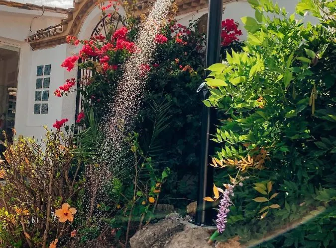 贾迪勒斯女王精品b&b酒店