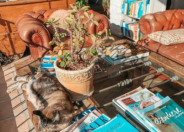 贾迪勒斯女王精品b&b酒店 住宿加早餐酒店 4*