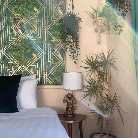 Jardines De La Reina Boutique לינה וארוחת בוקר